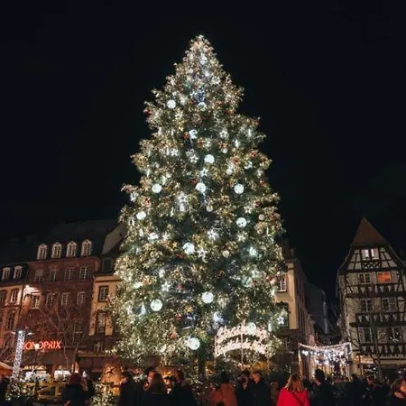 Buda 4 Alsace Eurométropole Strasbourg