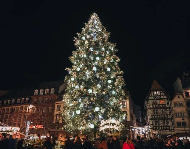 Buda 4 Alsace Eurométropole Strasbourg